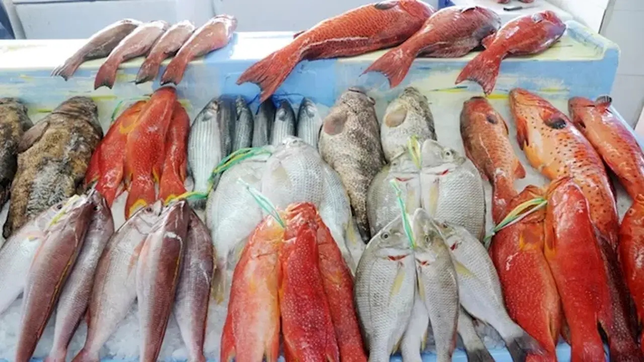 تغيرات في أسعار الأسماك والمأكولات البحرية بسوق العبور خلال تعاملات اليوم الاثنين